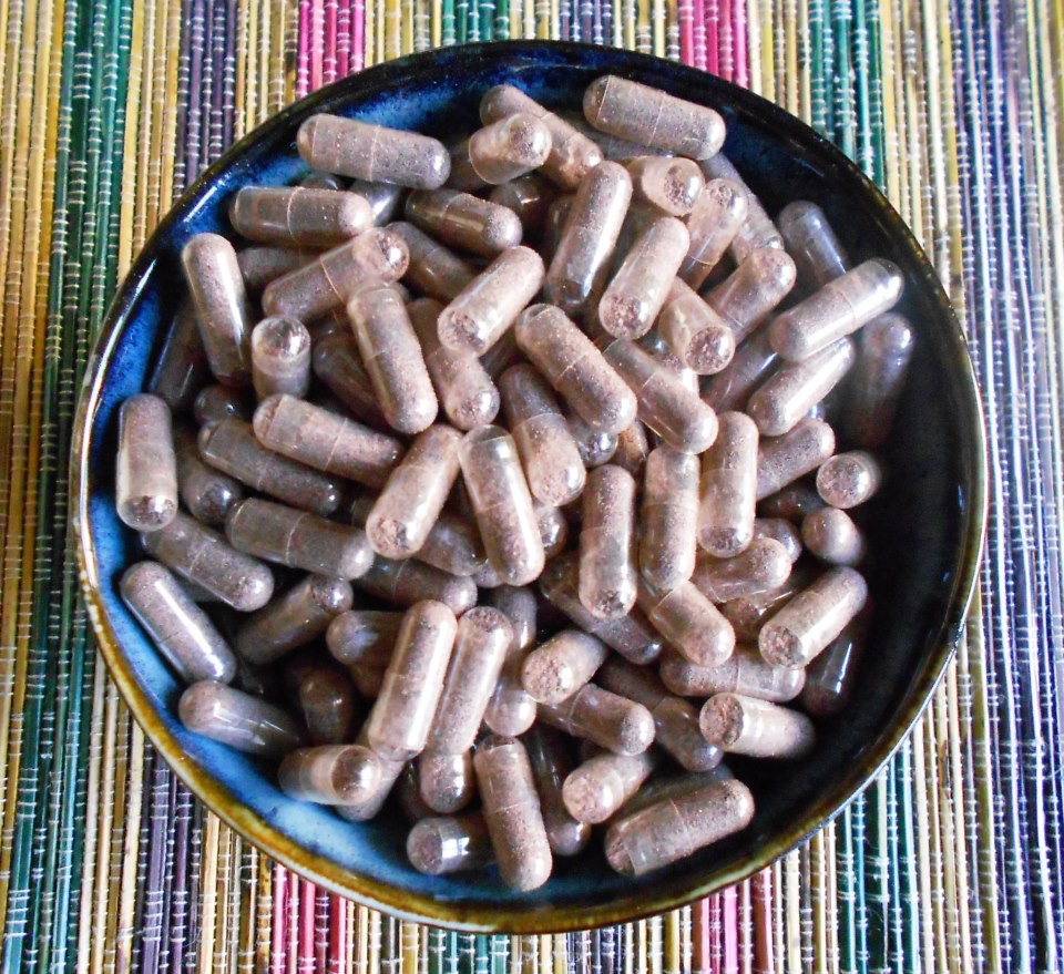 The Amazing Benefits of Placenta Encapsulation