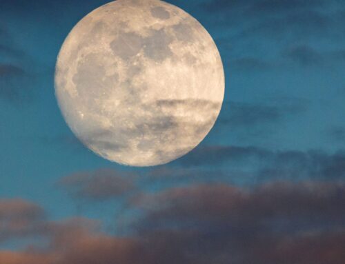 Embodied Calm and an Easy Productivity: The Virgo Full Moon – Astrology With Gil Dwyer