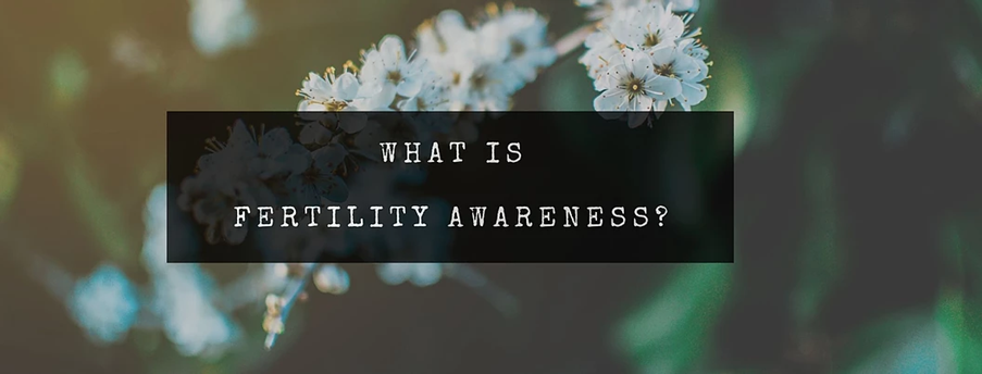 What is Fertility Awareness?