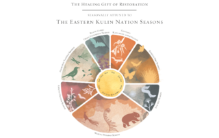 Restorative yoga and Yoga Nidra workshop at Kundalini House North Fitzroy Melbourne