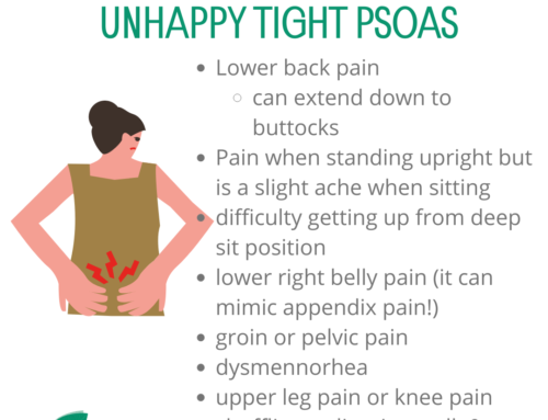 What is the Psoas? by Pip Atherstone-Reid