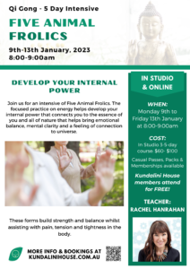 Qi gong 5 day intensive with Rachel