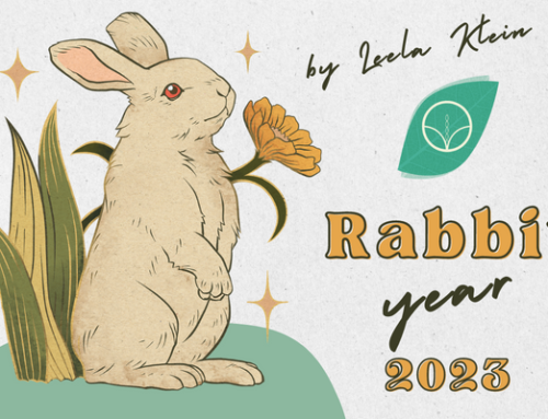 Chinese Year: Yin Water Rabbit by Leela Klein