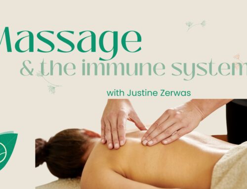 Support your Immune system |Massage Therapist Justine Zerwas