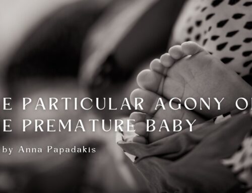The Particular Agony of the Premature Baby by Anna Papadakis