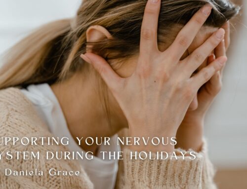 Supporting Your Nervous System During the Holidays, by Daniela Grace