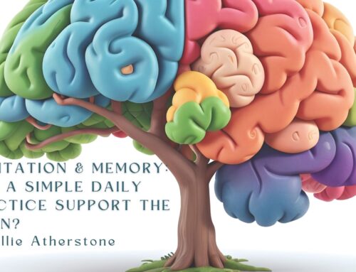 Meditation & Memory: Can a simple daily practice support the brain?