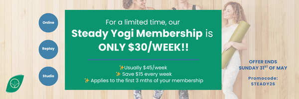 Steady Yogi Offer of $30 per/week